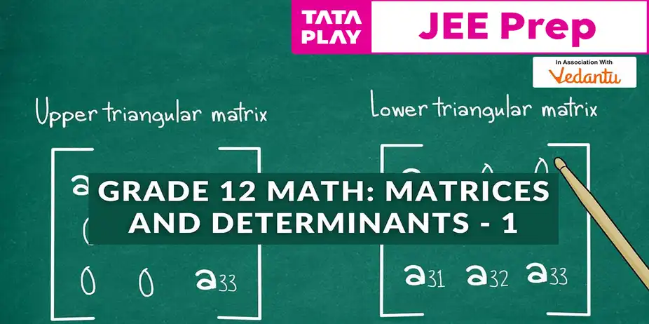 Grade 12 Math: Matrices and Determinants - 1